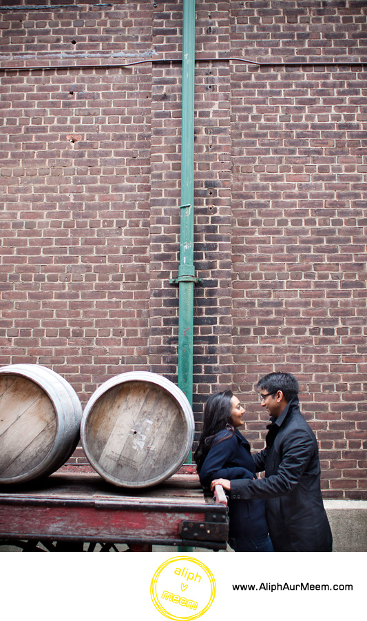 AliphAurMeem_Distillery_District_50D_IMG_9229